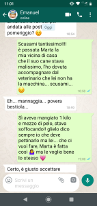 Albicocche agostiniane_3